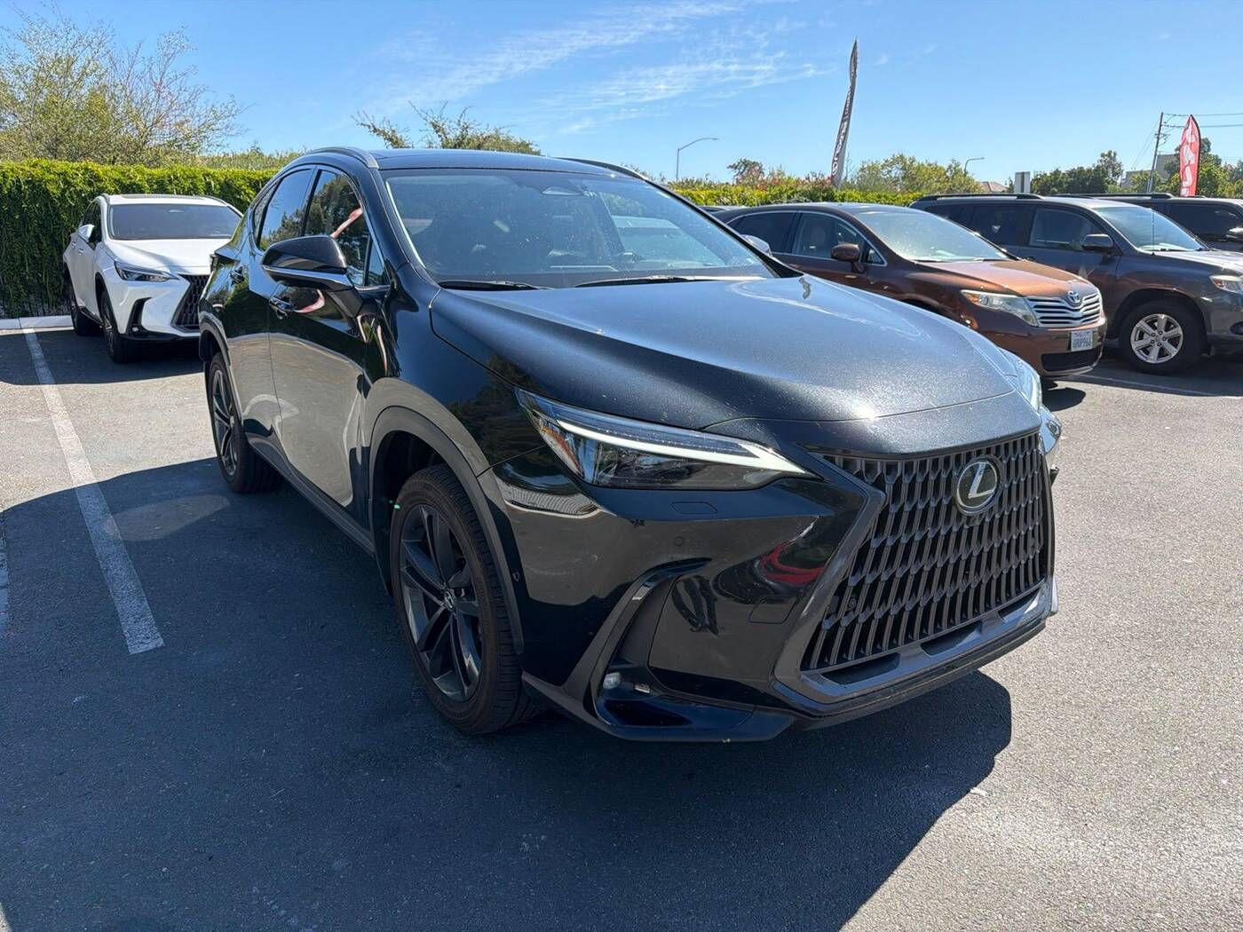2025 LEXUS NX