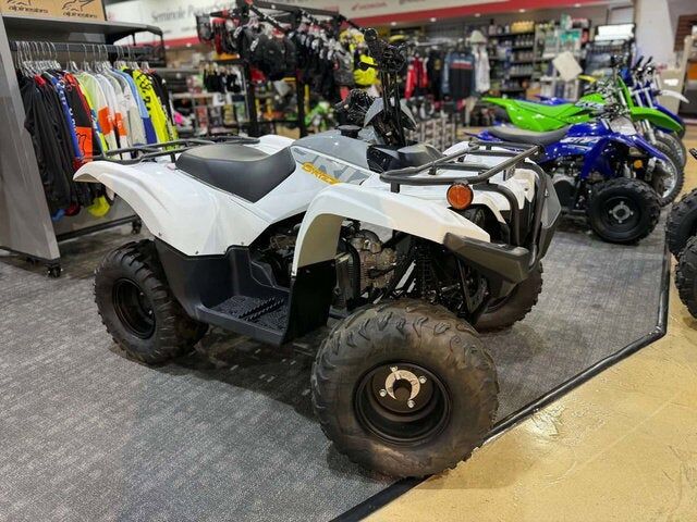2024 YAMAHA YFM90