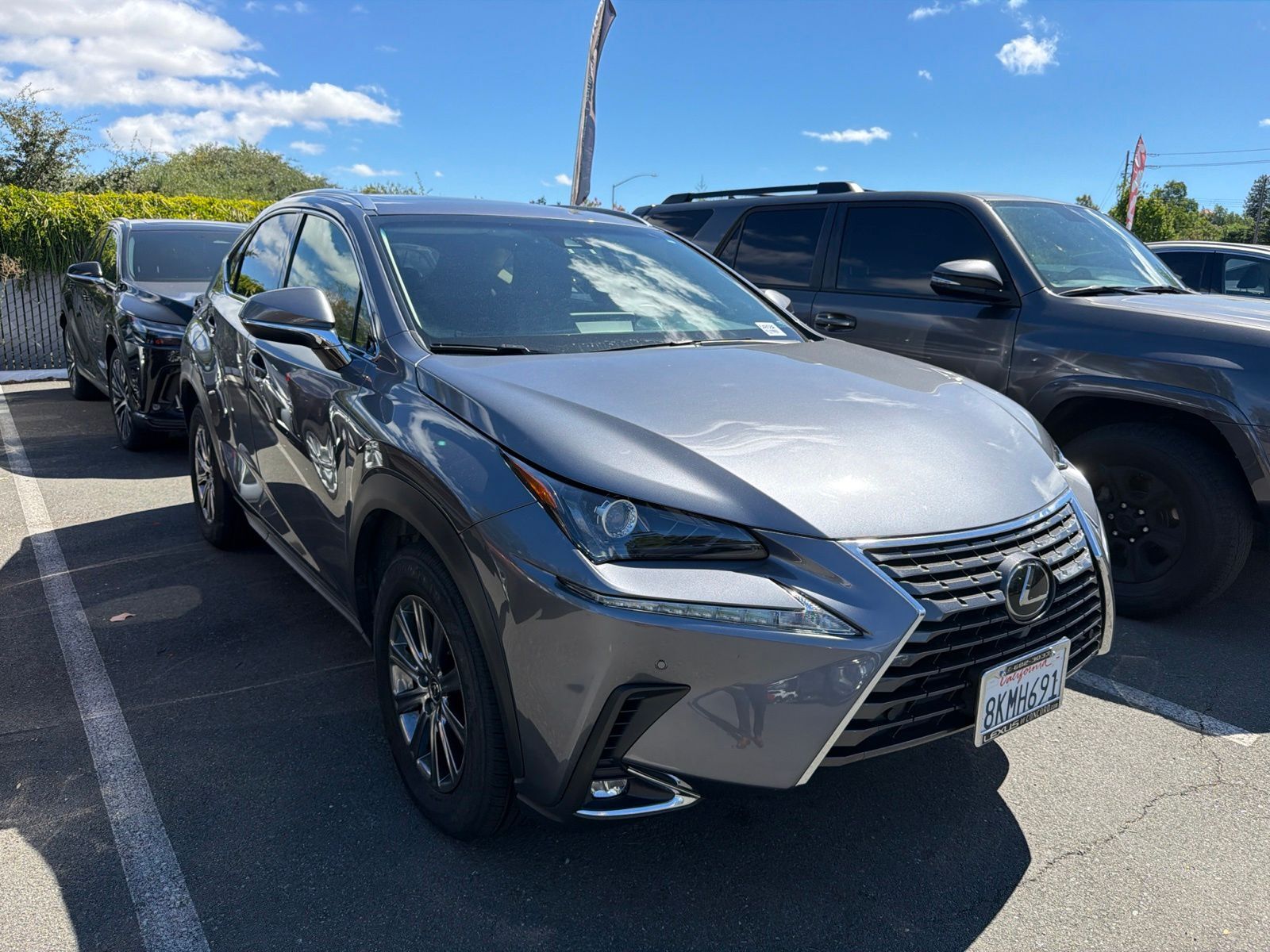 2019 LEXUS NX