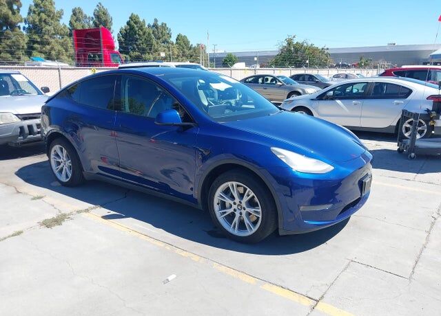 2020 TESLA Model Y