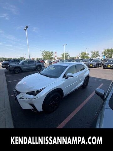2019 LEXUS NX