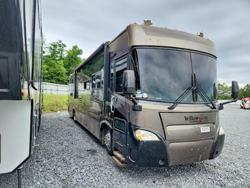 2007 WORKHORSE R20