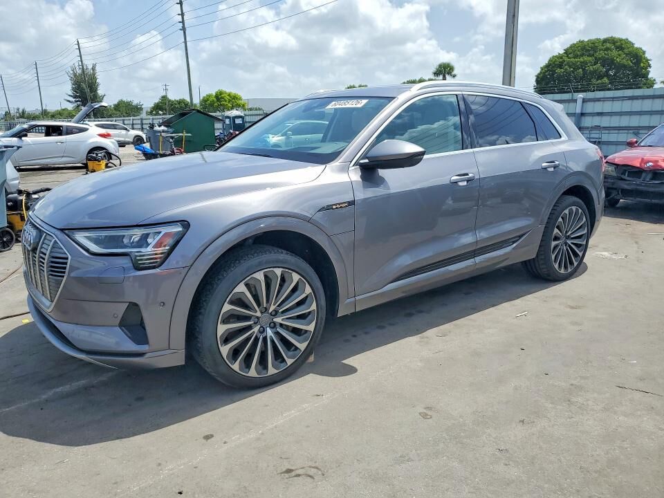 2019 AUDI e-tron