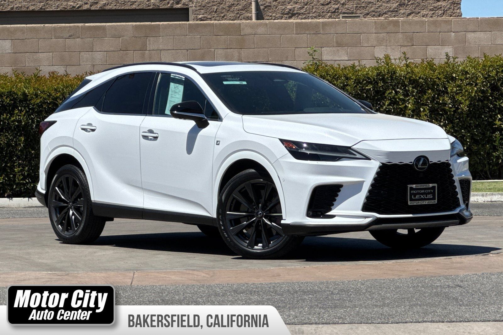 2024 LEXUS RX