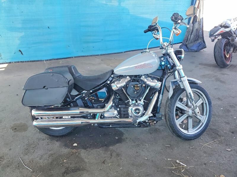 2024 HARLEY DAVIDSON Softail Standard