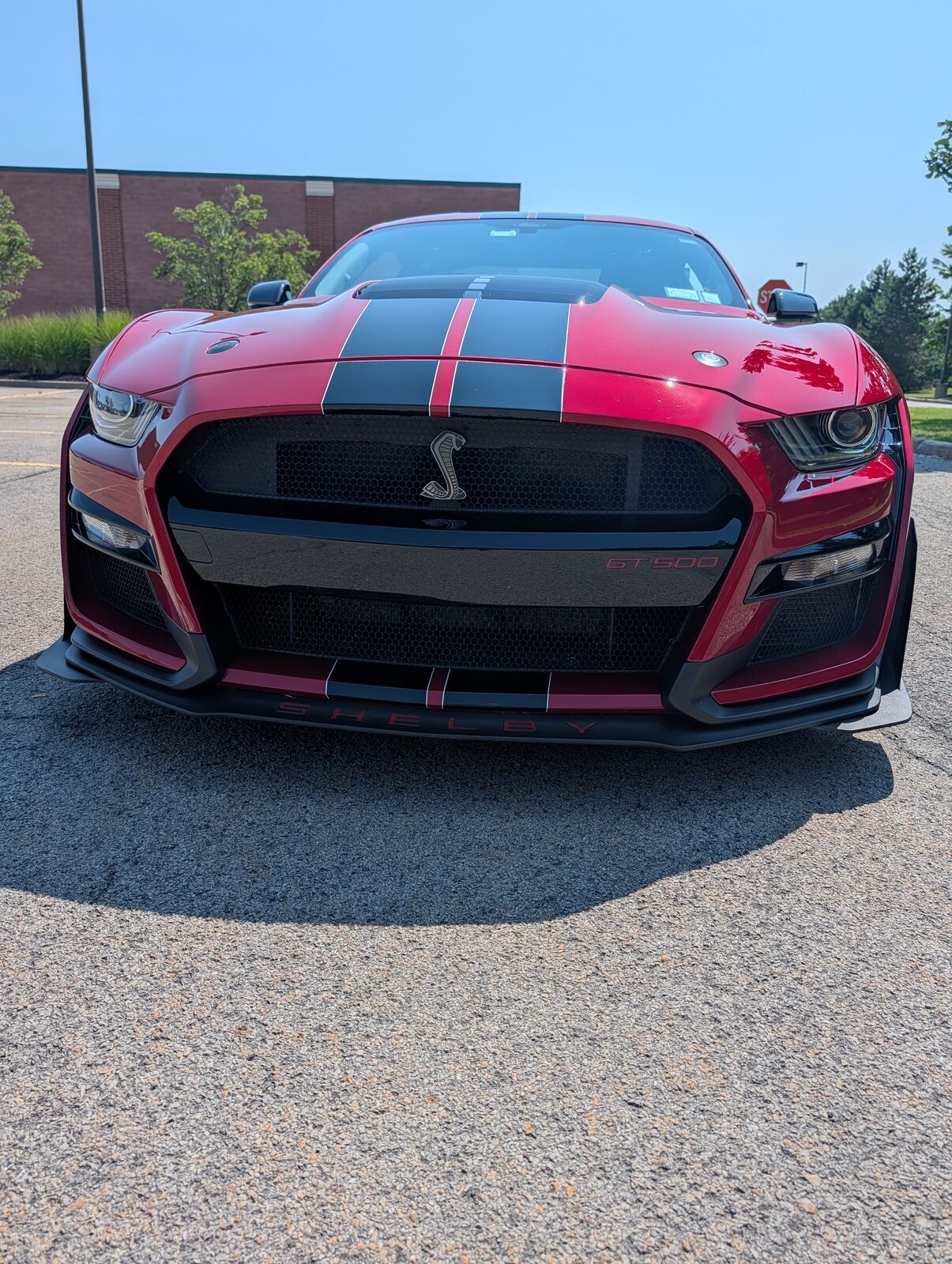 2021 FORD Mustang