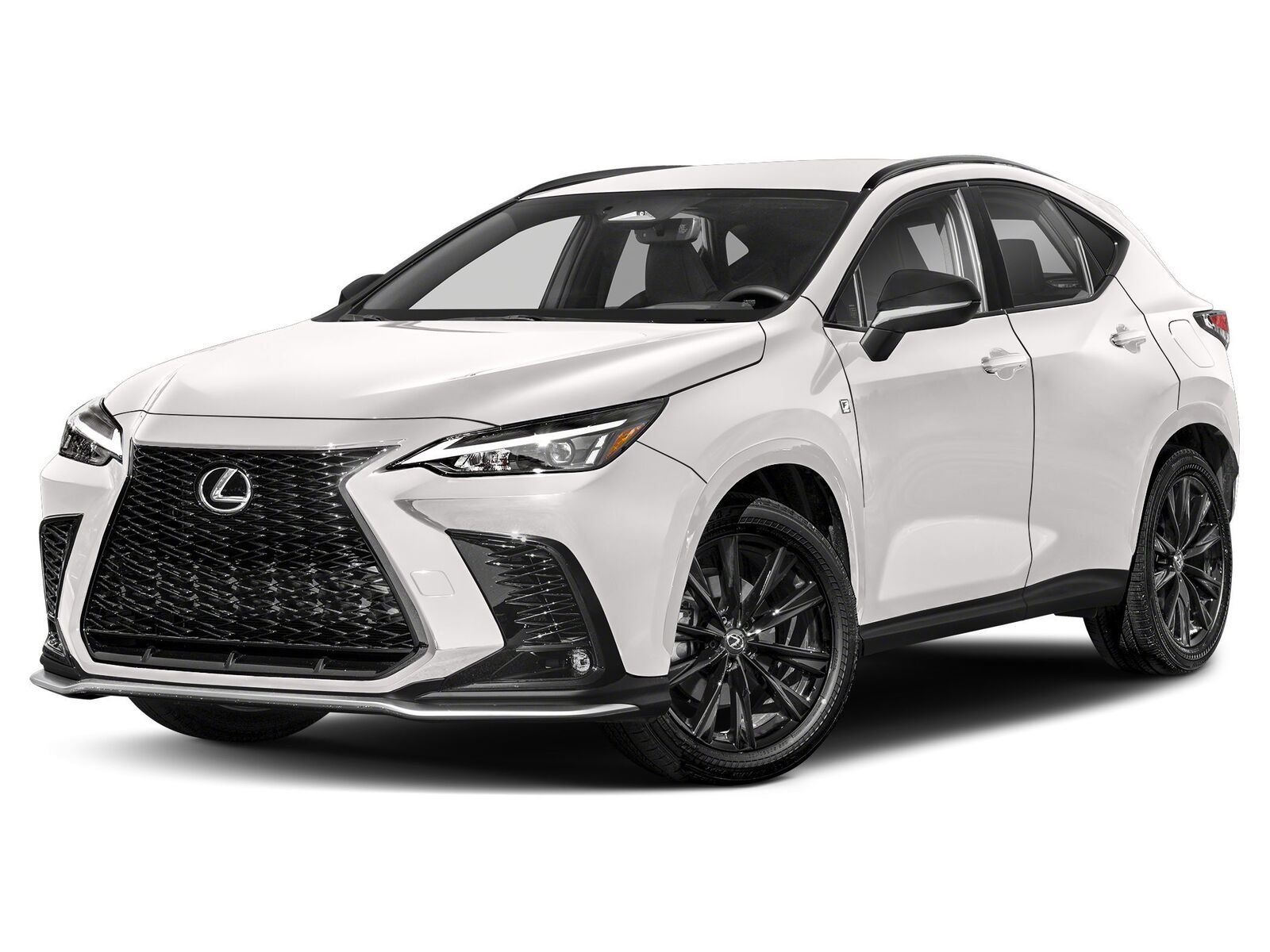 2024 LEXUS NX