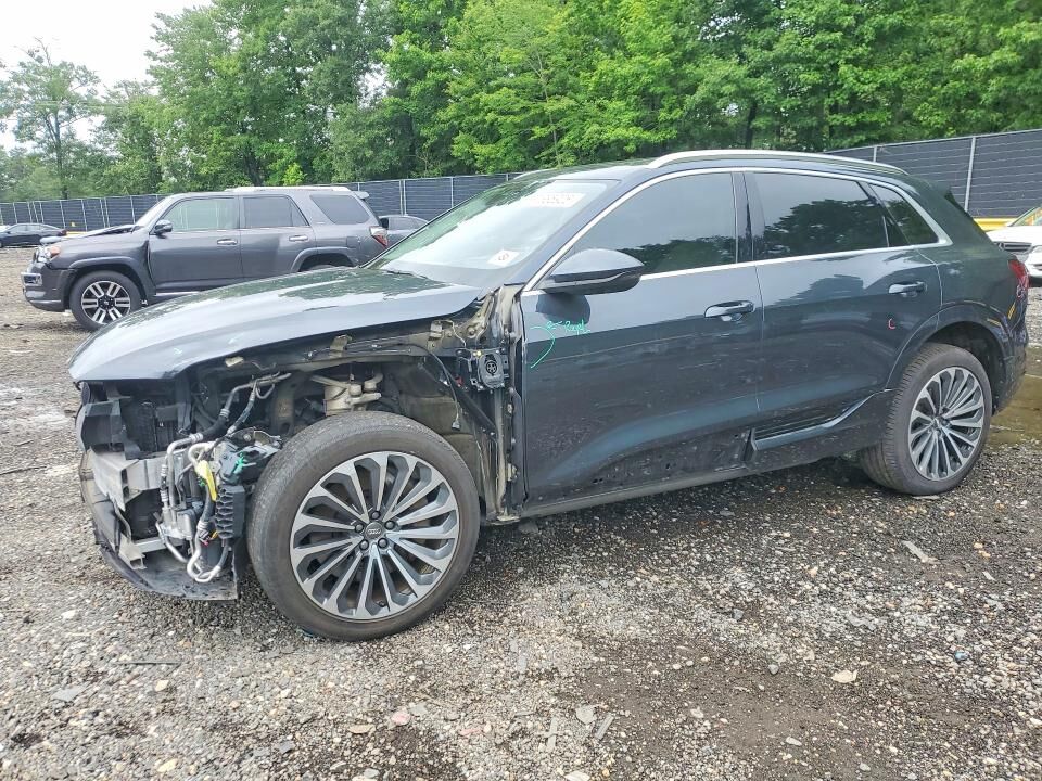 2019 AUDI e-tron