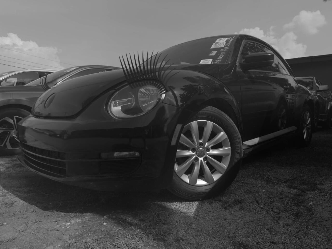 2013 VOLKSWAGEN Beetle