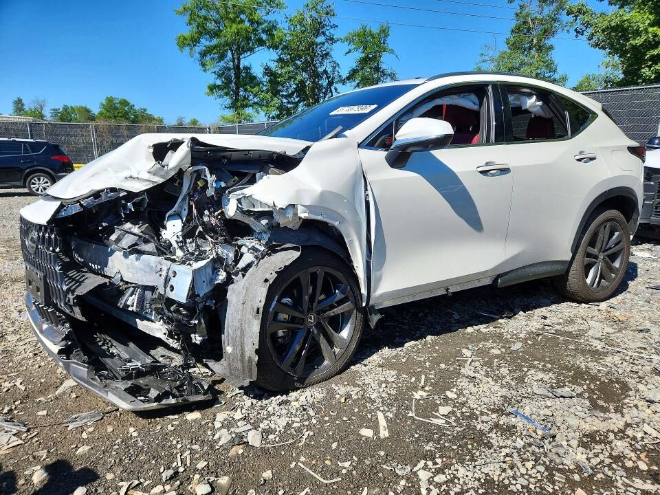 2025 LEXUS NX