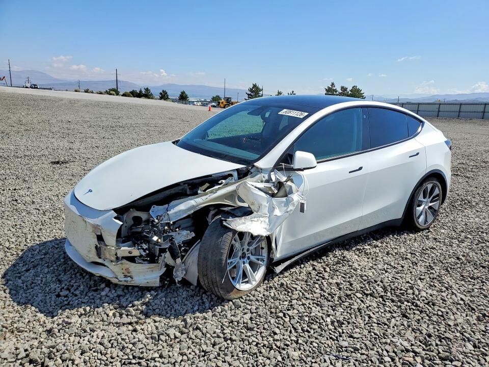 2021 TESLA Model Y