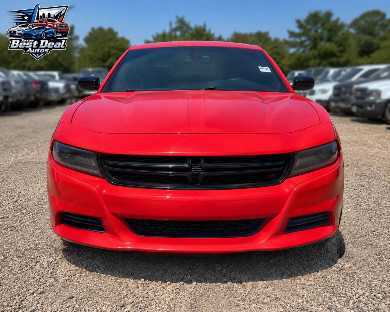 2019 DODGE Charger