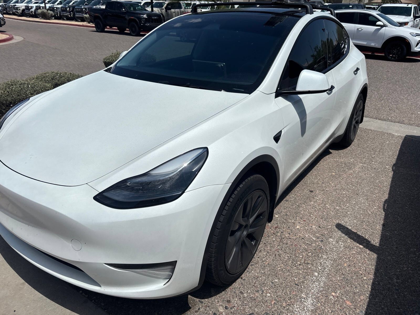 2025 TESLA Model Y