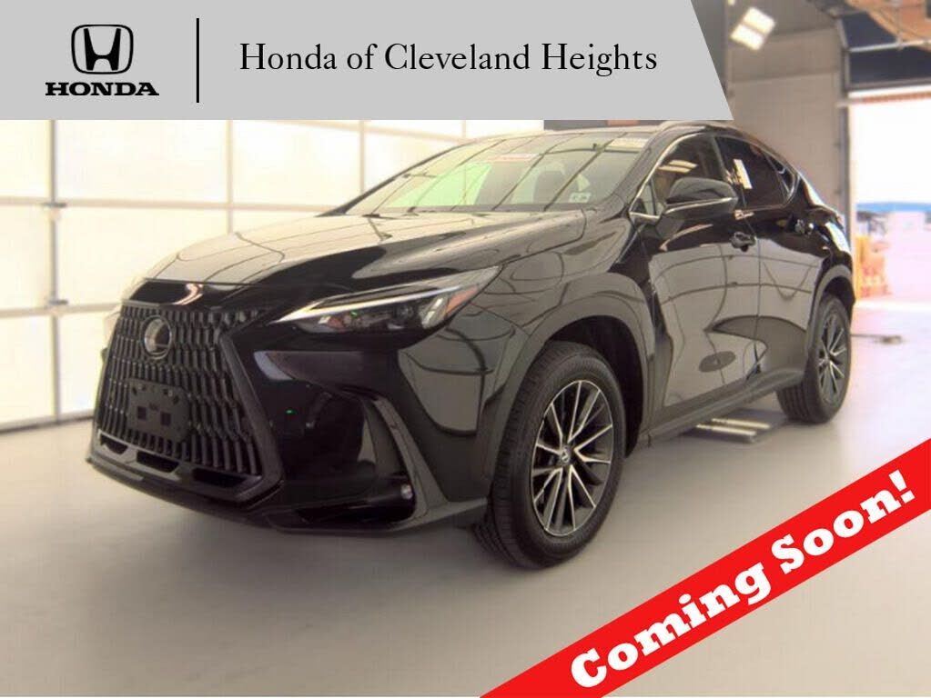 2024 LEXUS NX