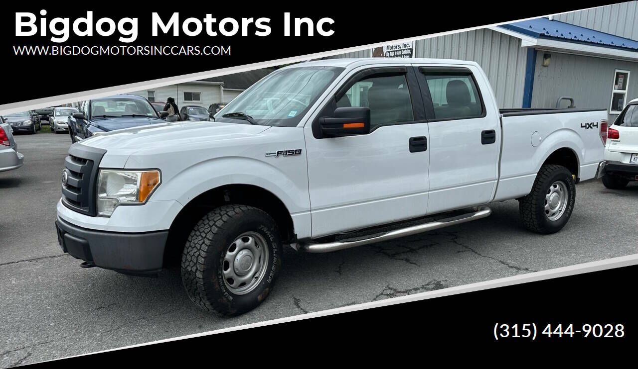 2010 FORD F-150