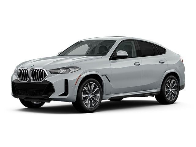 2024 BMW X6