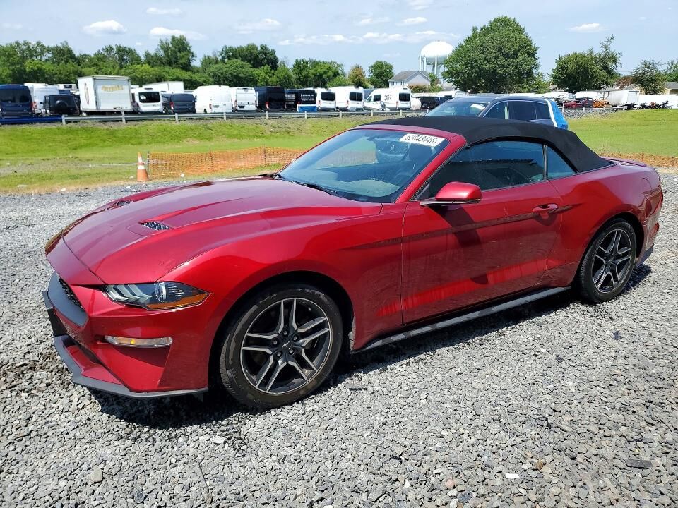 2019 FORD Mustang