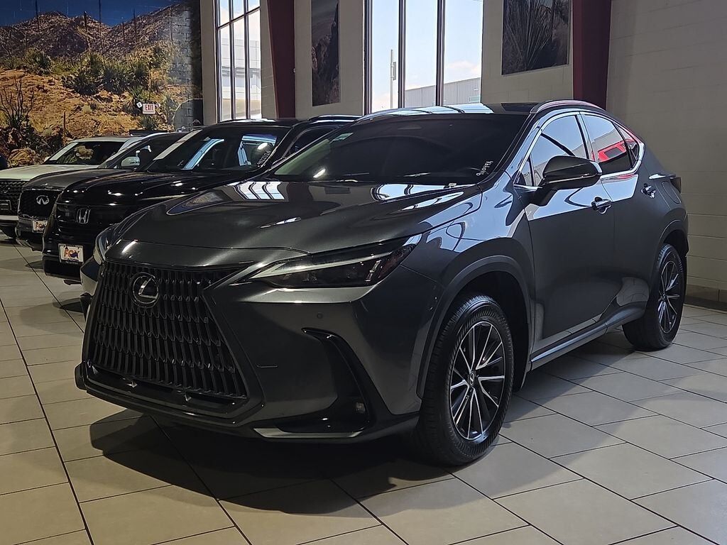 2024 LEXUS NX