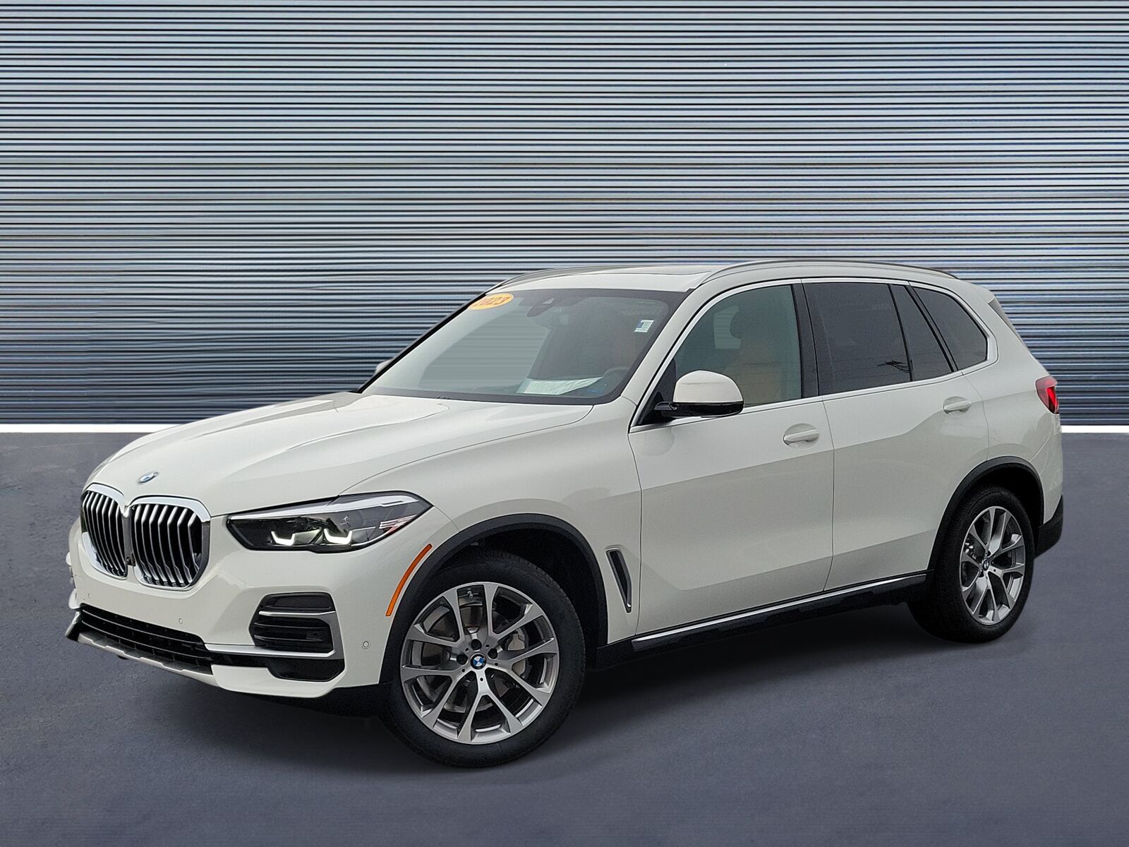 2023 BMW X5