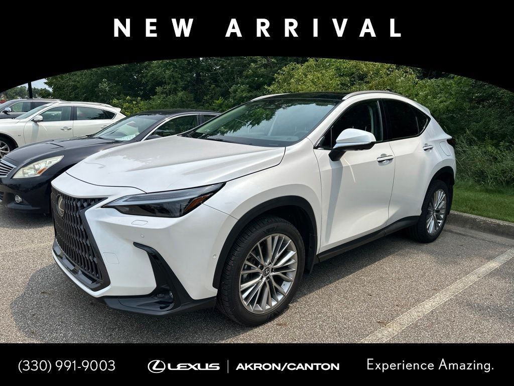 2024 LEXUS NX