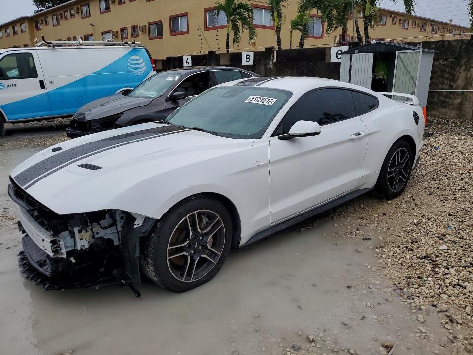 2019 FORD Mustang