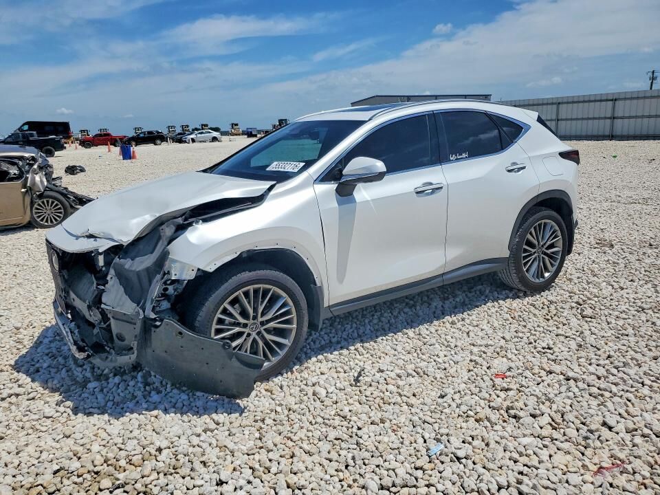 2025 LEXUS NX