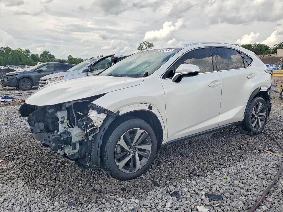 2019 LEXUS NX