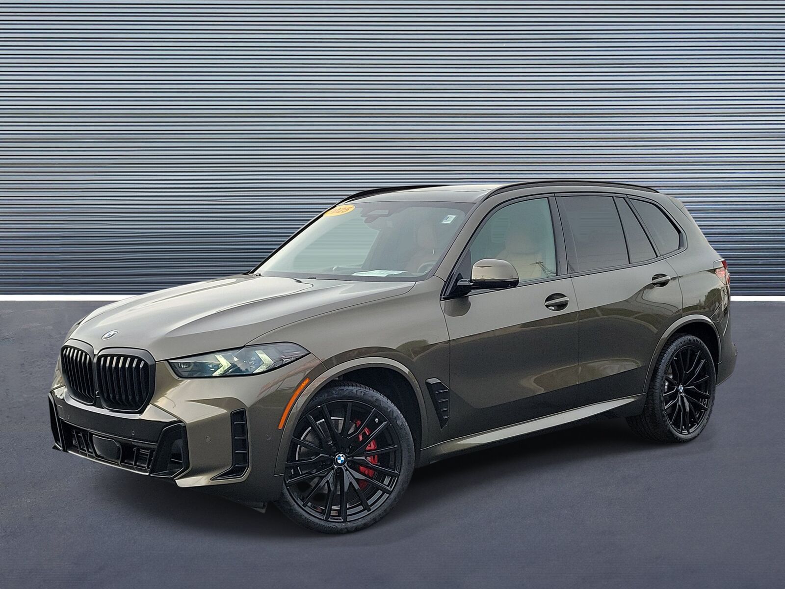 2025 BMW X5
