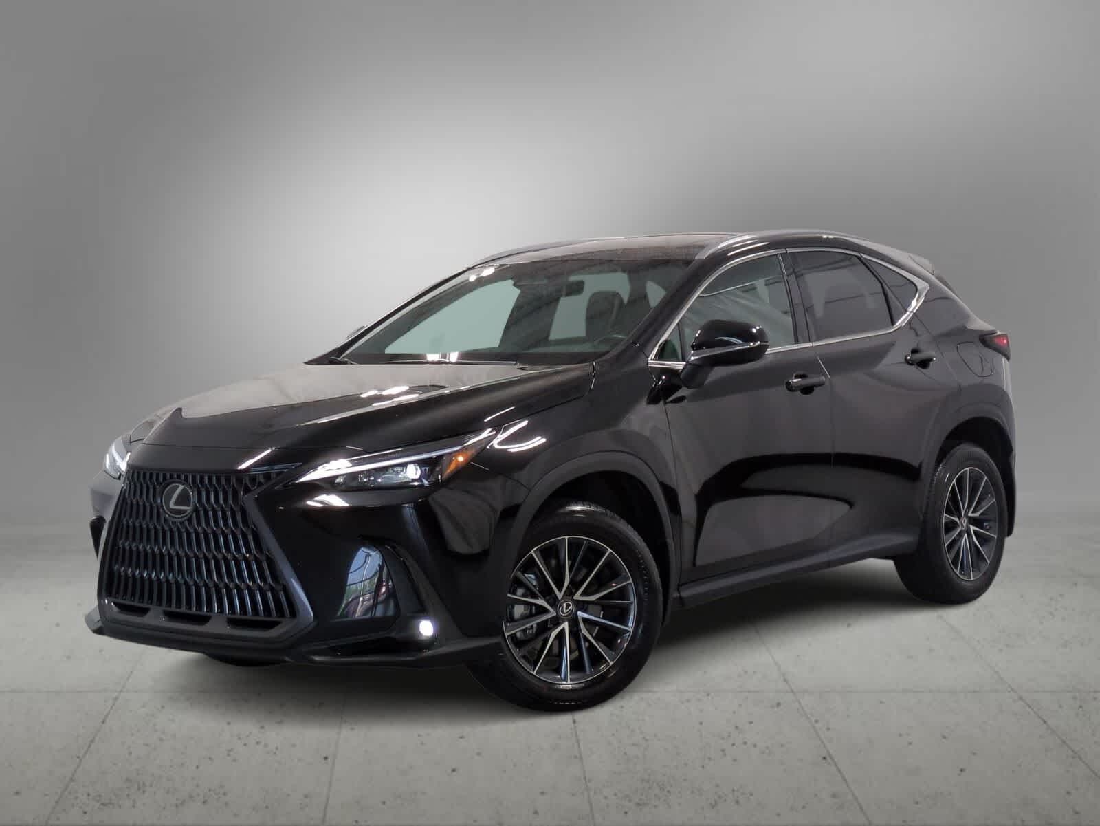 2024 LEXUS NX