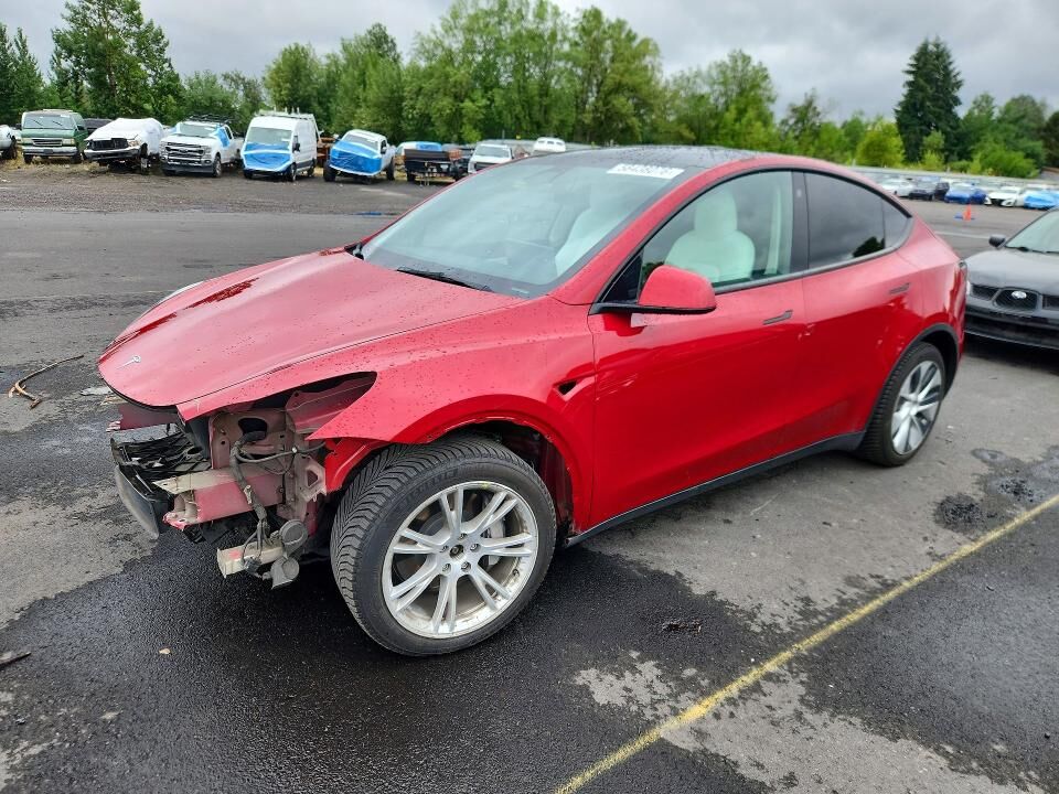 2021 TESLA Model Y