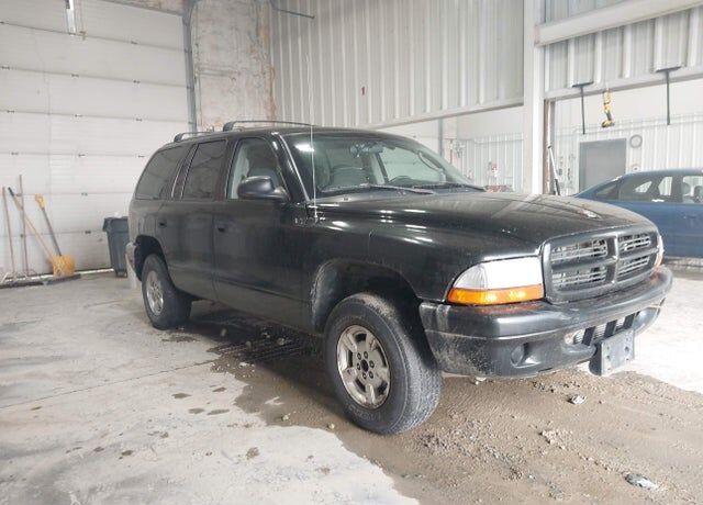 2002 DODGE Durango