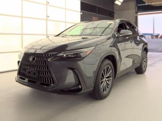 2024 LEXUS NX