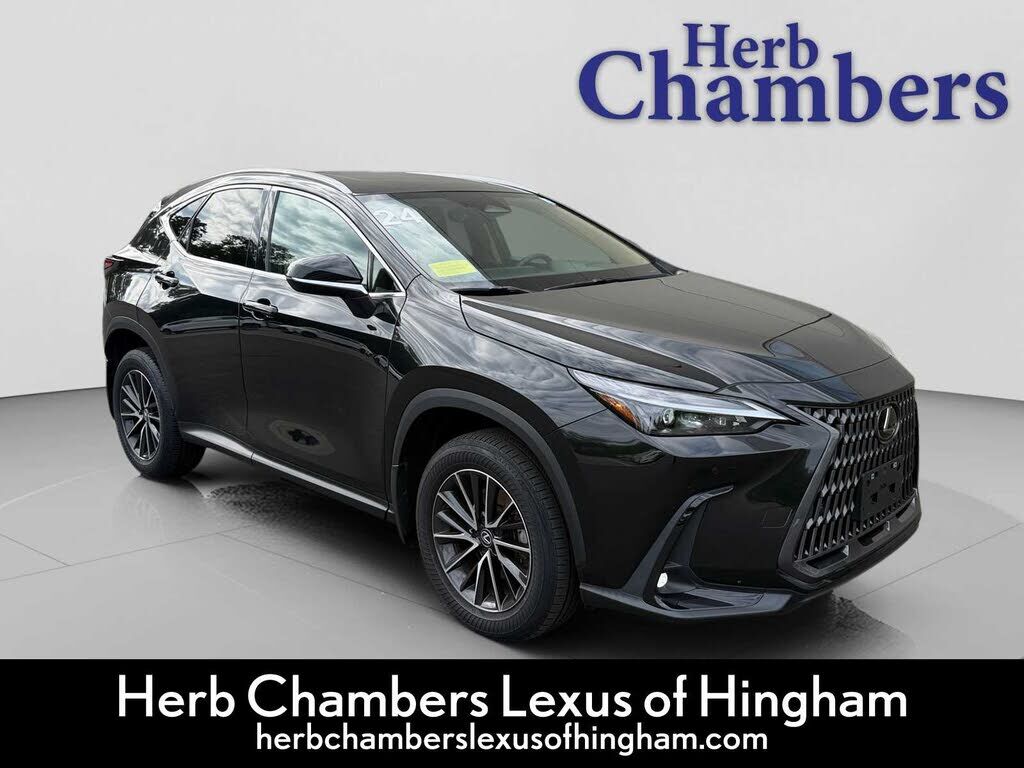 2024 LEXUS NX