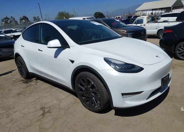 2021 TESLA Model Y