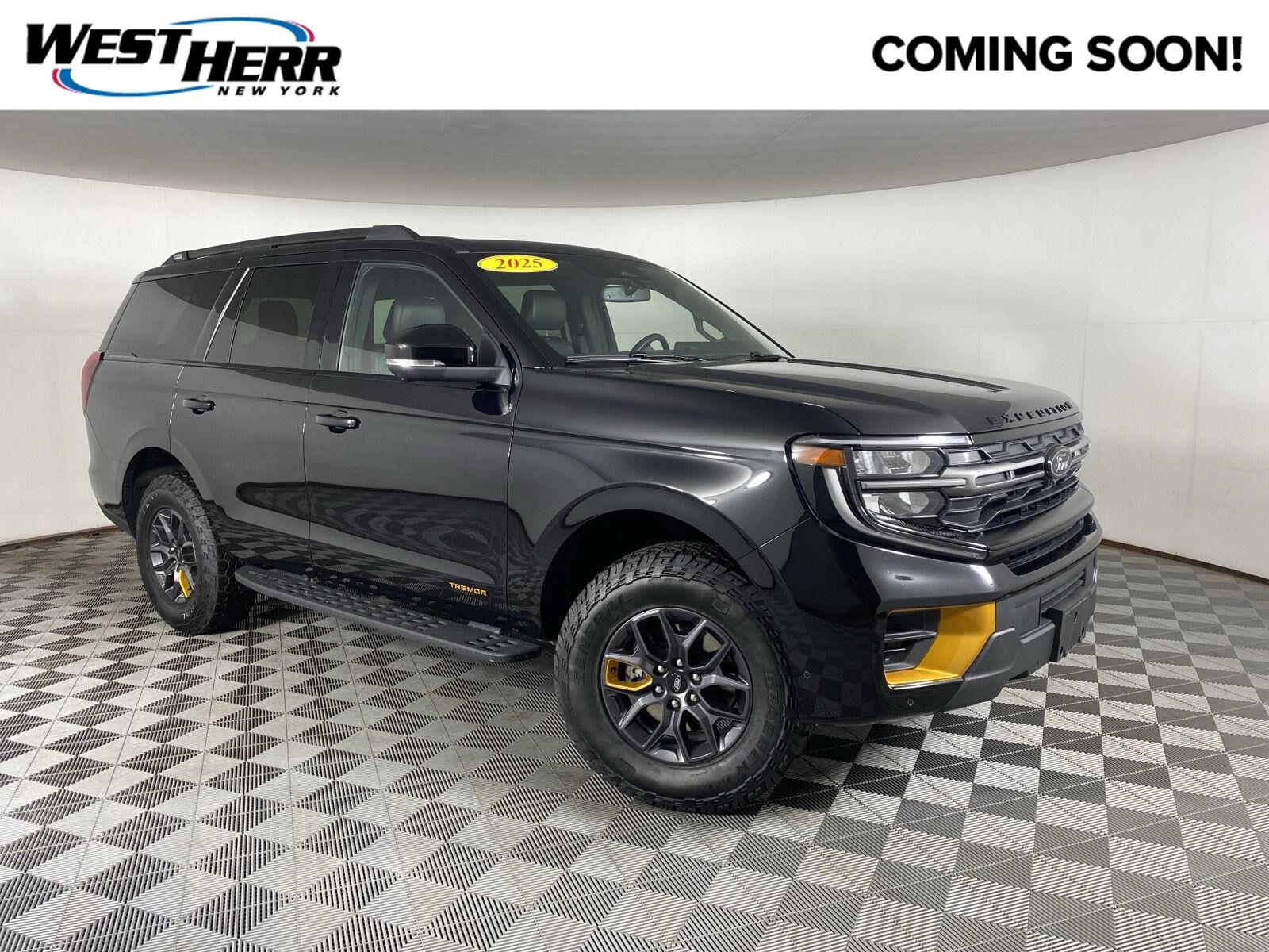 2025 FORD Expedition