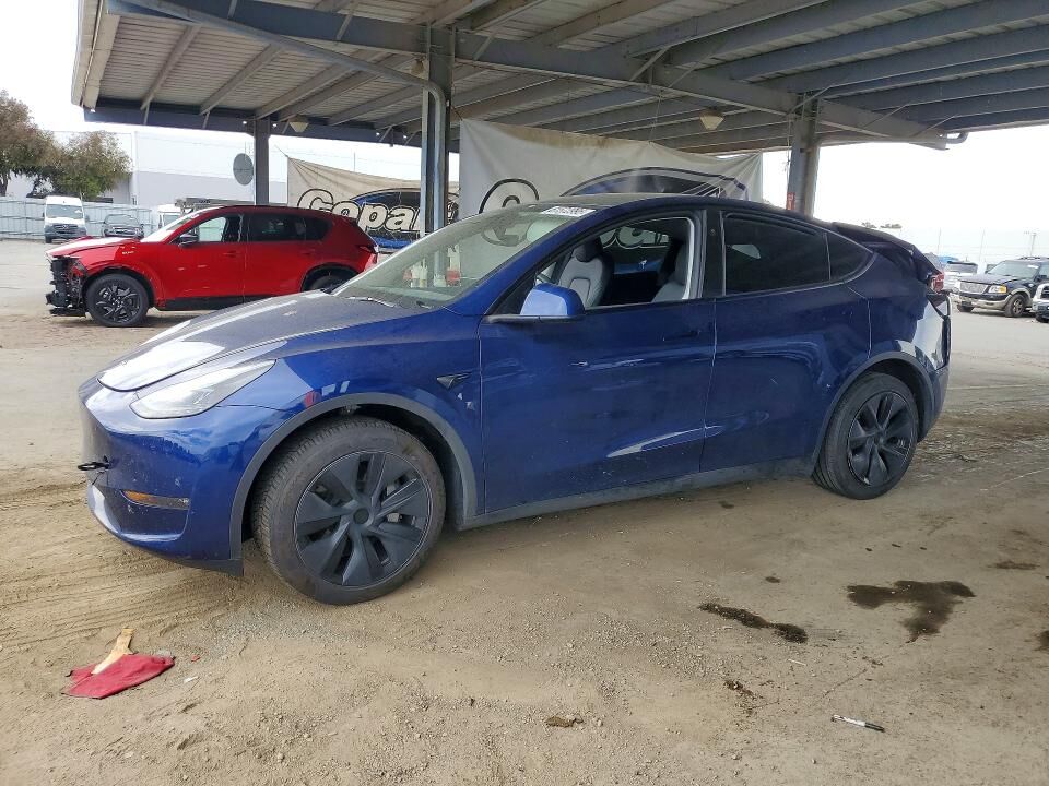 2024 TESLA Model Y