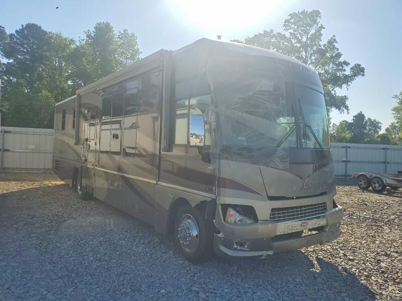 2006 WORKHORSE W24