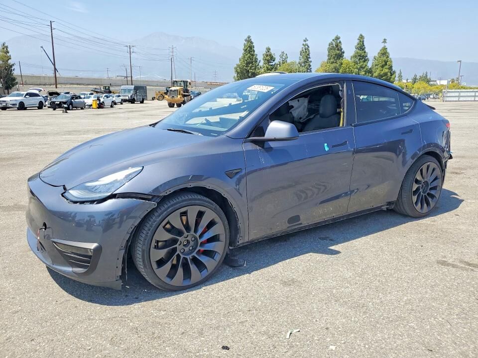 2023 TESLA Model Y