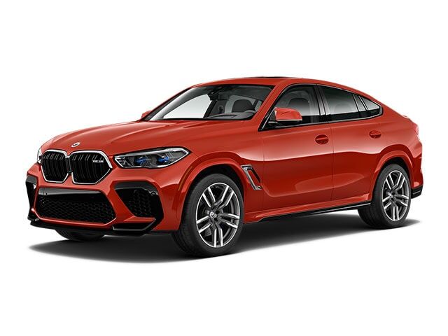 2023 BMW X6