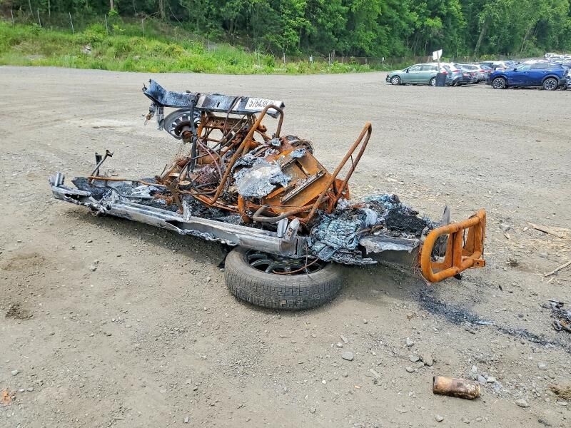 2021 POLARIS GEM