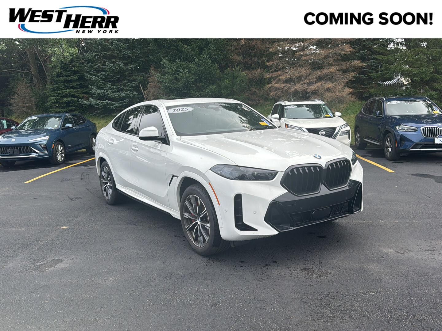 2025 BMW X6