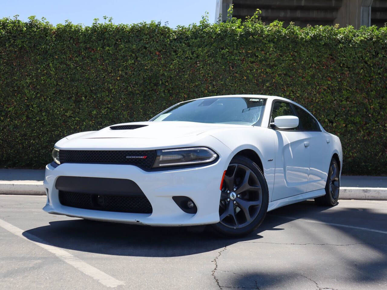 2019 DODGE Charger