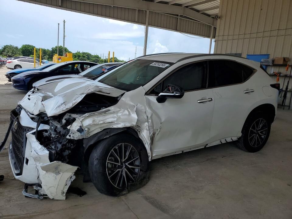 2024 LEXUS NX