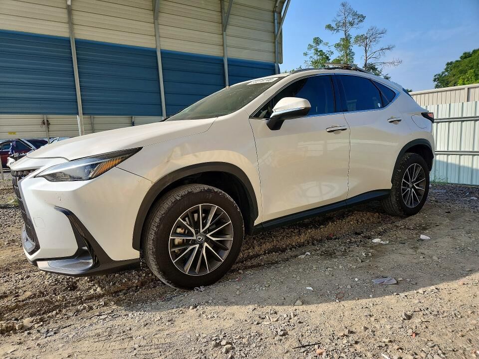 2025 LEXUS NX