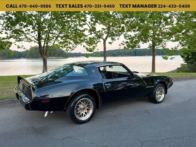 1981 PONTIAC Firebird