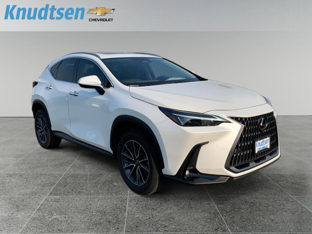 2025 LEXUS NX