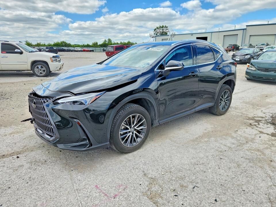 2024 LEXUS NX