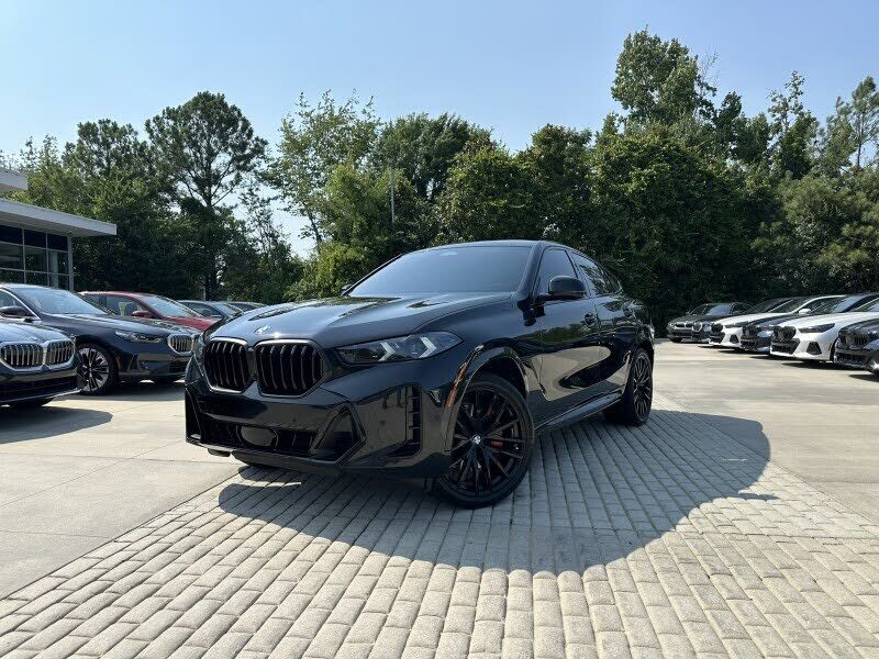 2024 BMW X6