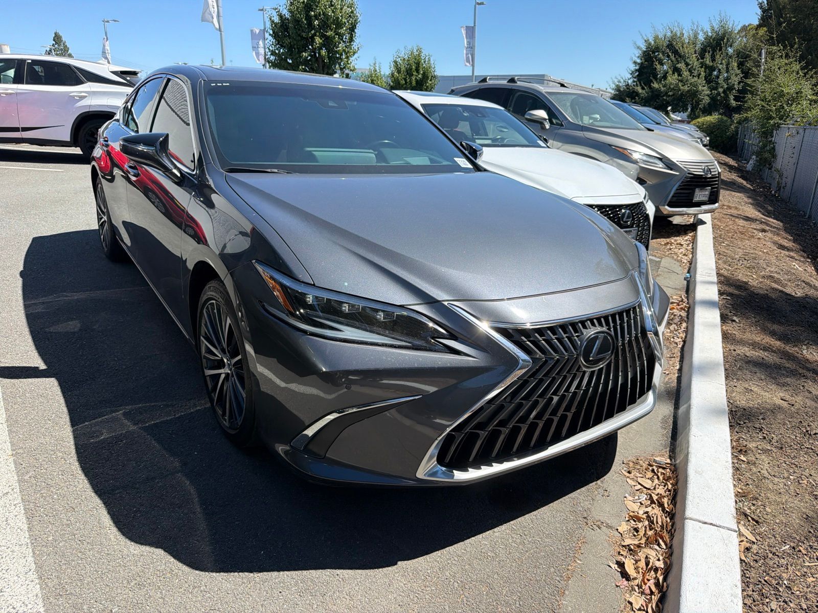 2025 LEXUS ES