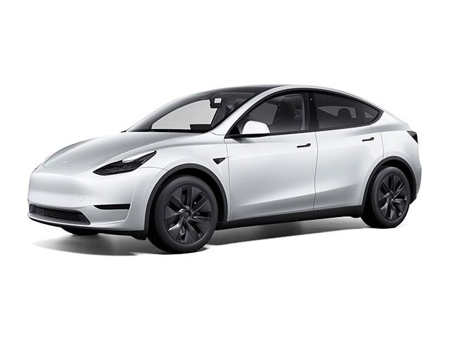 2025 TESLA Model Y